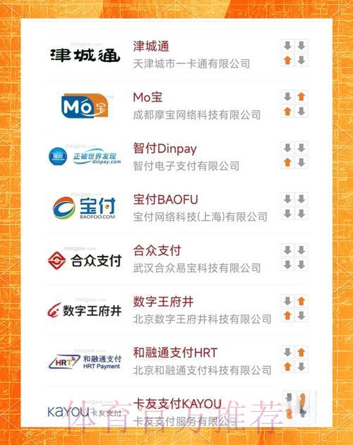 世界杯外围平台多种支付功能全面解析 世界杯外围平台多种支付功能全面解析